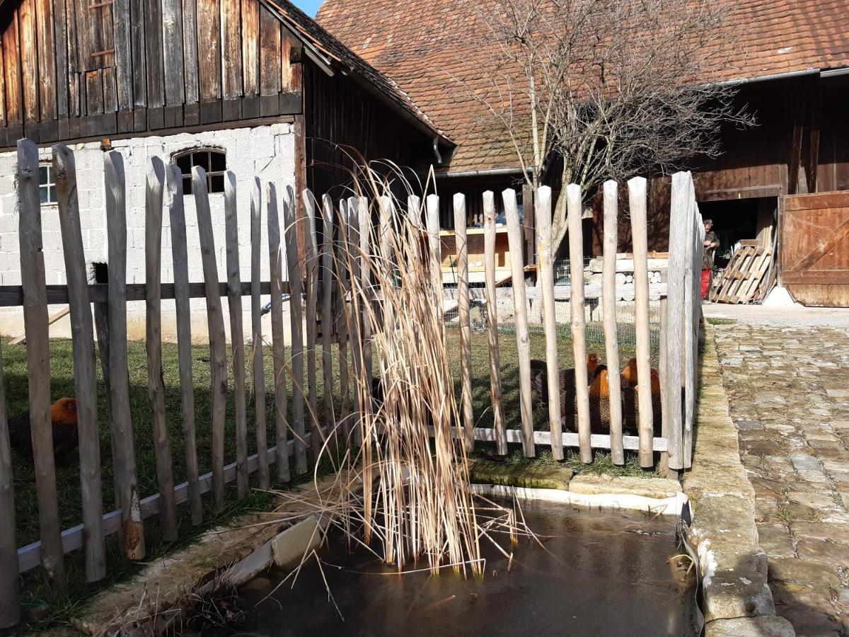 Pension Will Kusterdingen Exterior photo